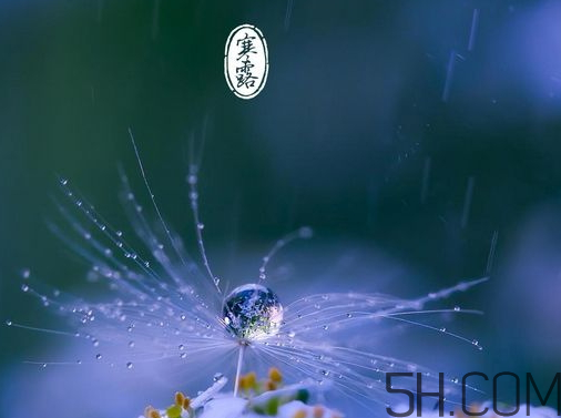 2017年寒露會(huì)下雨嗎？寒露下雨好嗎？