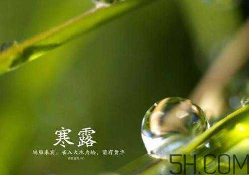 2017年寒露會(huì)下雨嗎？寒露下雨好嗎？