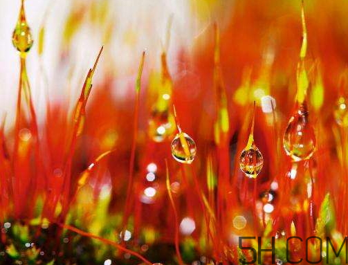 2017年寒露會(huì)下雨嗎？寒露下雨好嗎？