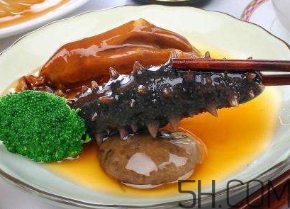 海參是海鮮嗎？海參是動物還是植物？