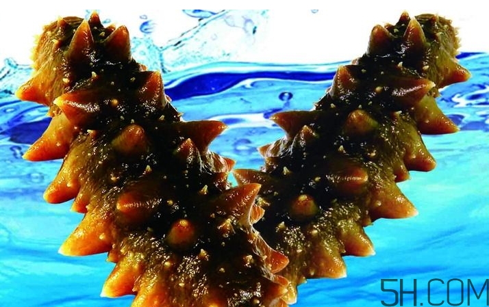 海參是酸性還是堿性？海參是涼性還是熱性？