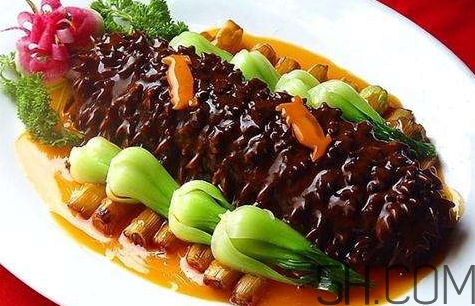 海參是高蛋白食物嗎？海參是素食嗎？
