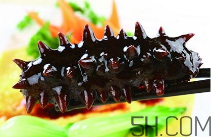 海參是高蛋白食物嗎？海參是素食嗎？
