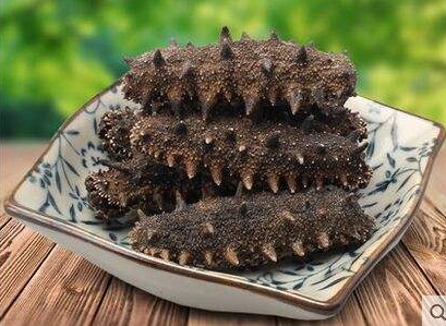 海參刺多好還是刺少好？海參沒有刺是怎么回事？