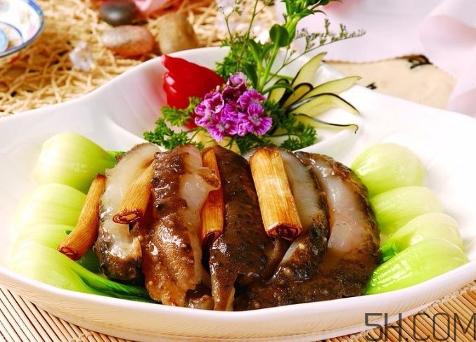 海參是高蛋白食物嗎？海參是素食嗎？