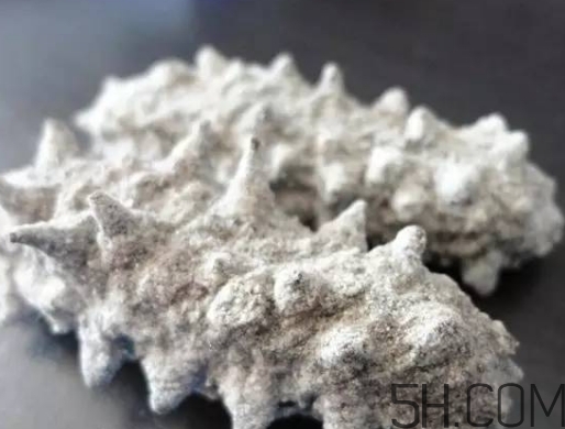 海參顏色深好還是淺好？海參顏色發(fā)白時(shí)怎么回事？