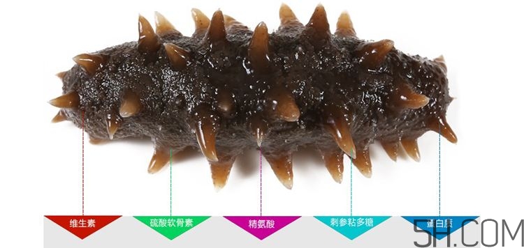 海參哪些部位不能吃？海參的禁忌人群