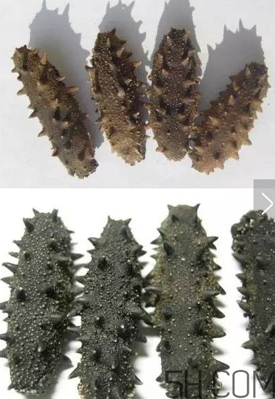 海參顏色深好還是淺好？海參顏色發(fā)白時(shí)怎么回事？