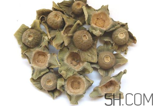 柿蒂治打嗝怎么煮水？柿蒂的功效與作用