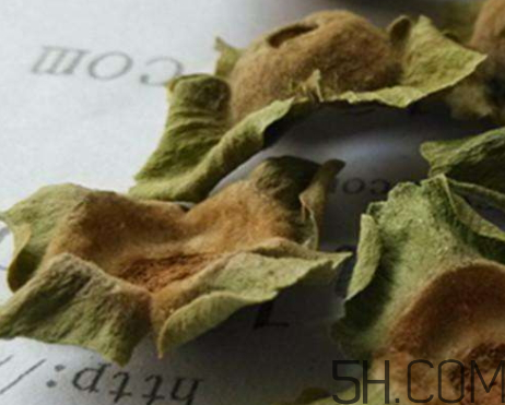 柿蒂治打嗝怎么煮水？柿蒂的功效與作用
