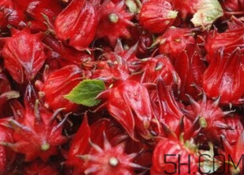 洛神果是什么？洛神果和洛神花區(qū)別