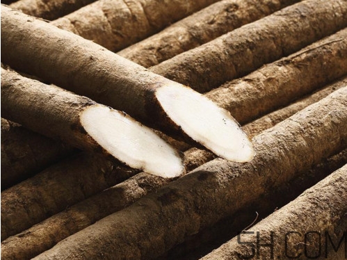 牛蒡是牛大力嗎？牛蒡和牛大力的區(qū)別