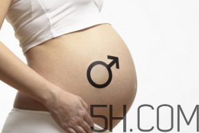 懷男孩和懷女孩的特征是什么？孕婦肚子硬生男生女？