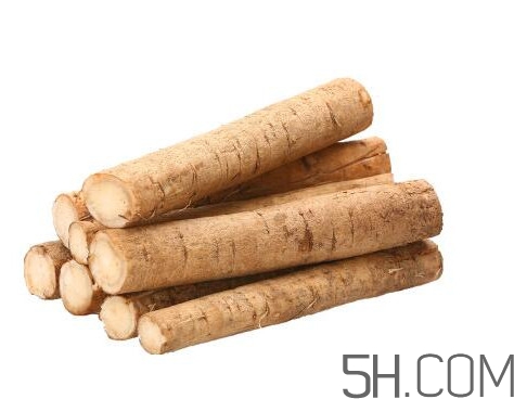 牛蒡是什么東西？牛蒡有什么功效？