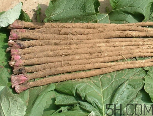 牛蒡是牛大力嗎？牛蒡和牛大力的區(qū)別
