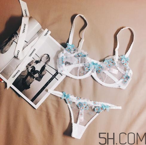 agent provocateur什么價(jià)位？agent provocateur內(nèi)衣價(jià)格
