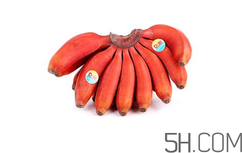 紅香蕉和普通香蕉的區(qū)別？香蕉可以放冰箱冷凍嗎？
