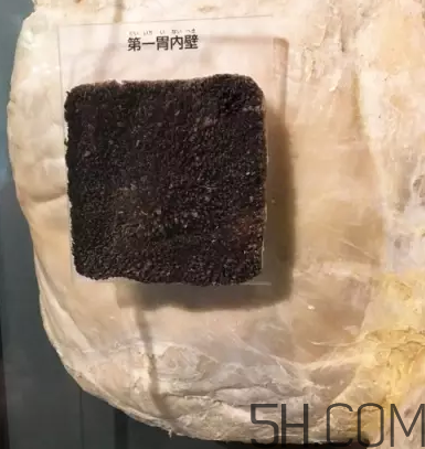 牛百葉和毛肚是一個(gè)東西嗎？牛百葉上面有層黑皮能吃嗎？