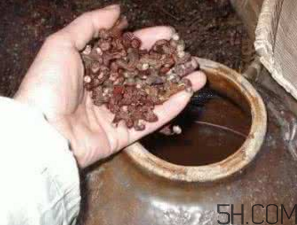 拐棗能泡酒嗎？拐棗能和蜂糖一起泡酒嗎？