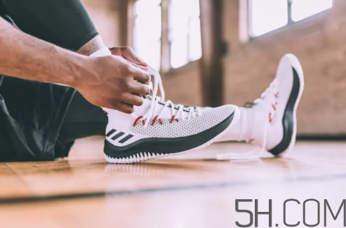 adidas dame 4多少錢？阿迪達斯利拉德四代上腳效果
