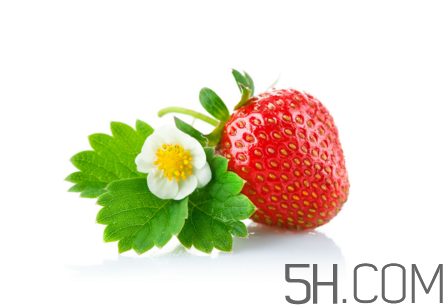 吃了發(fā)霉的草莓怎么辦？怎樣挑選草莓？