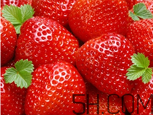 草莓都有哪些熱門品種？草莓怎么放不容易壞？