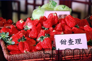 草莓都有哪些熱門品種？草莓怎么放不容易壞？