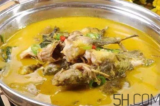 黃骨魚(yú)怎么處理？黃骨魚(yú)怎么清洗？