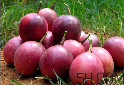 百香果幾月份的最好吃？百香果一次可以吃幾個(gè)？