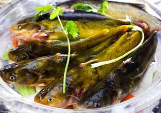 黃骨魚是發(fā)物嗎？黃骨魚是什么魚？