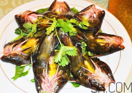 黃骨魚(yú)怎么處理？黃骨魚(yú)怎么清洗？