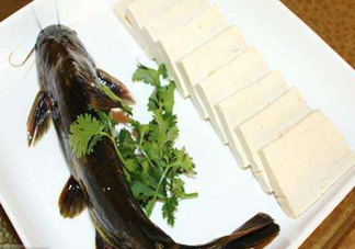 黃骨魚有刺嗎？黃骨魚有毒嗎？