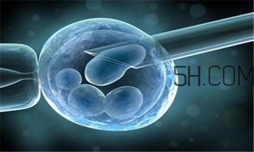 人工授精取卵子怎么??？人工授精男人怎樣取精？