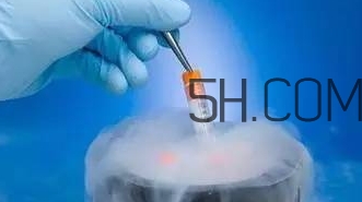 試管嬰兒有什么風險？試管嬰兒長大后的弊端
