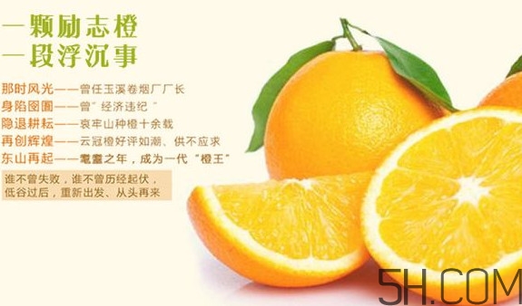 褚橙多少錢一斤？褚橙為什么這么貴