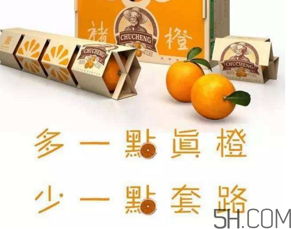 褚橙真的那么好吃嗎？褚橙哪里可以買到