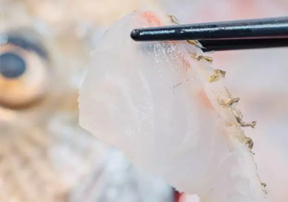 鯛魚(yú)怎么做？鯛魚(yú)是海魚(yú)還是淡水魚(yú)