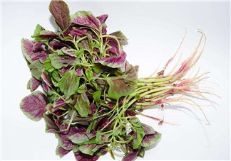 莧菜是酸性還是堿性？吃莧菜有什么好處？