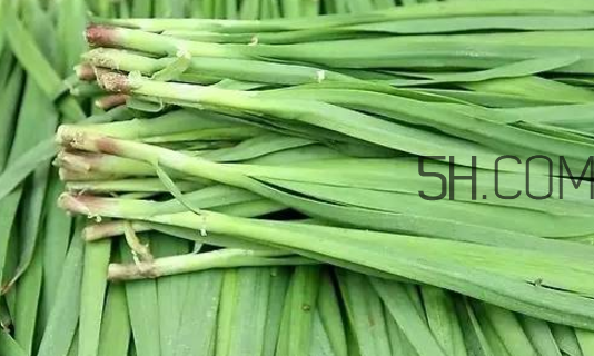 生蠔和韭菜一起吃有什么好處？吃韭菜的好處