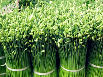 來月經(jīng)可以吃韭菜嗎？韭菜花的腌制方法