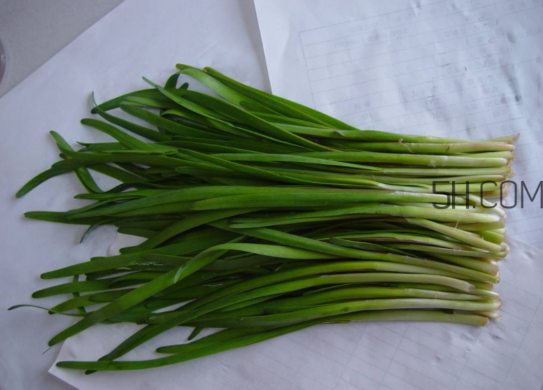 韭菜怎么保存？韭菜傷胃嗎？