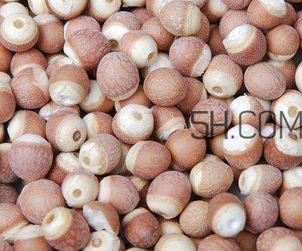 芡實是中藥嗎？芡實哪里可以買到