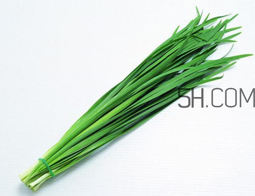 秋天吃韭菜好嗎？韭菜和莧菜能一起吃嗎？