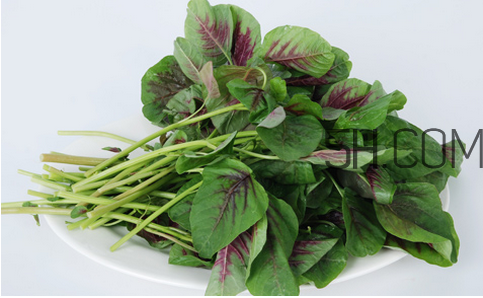 莧菜為什么是紅的？莧菜是涼性的嗎？