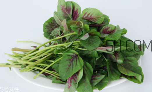上火能吃咸莧菜嗎？寶寶能吃莧菜嗎？