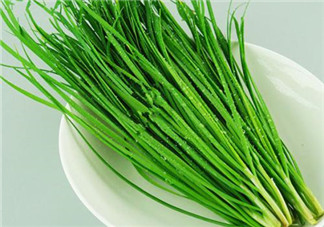 立秋后可以種韭菜嗎？怎樣種韭菜？