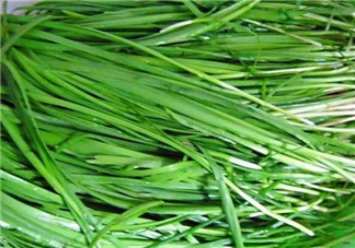 秋天吃韭菜好嗎？韭菜和莧菜能一起吃嗎？