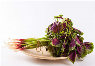 莧菜為什么是紅的？莧菜是涼性的嗎？