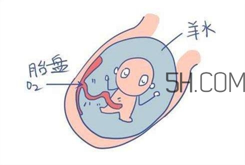怎么防止羊水早破？羊水早破的危害