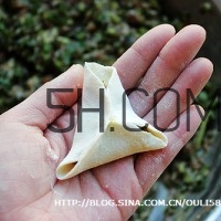 餃子和面用熱水還是冷水？餃子和面要醒多長(zhǎng)時(shí)間？